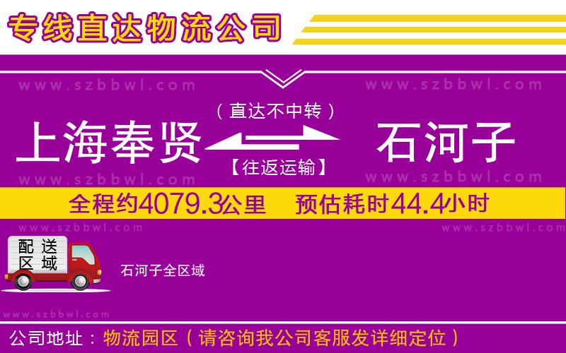 上海奉賢區(qū)到石河子物流公司