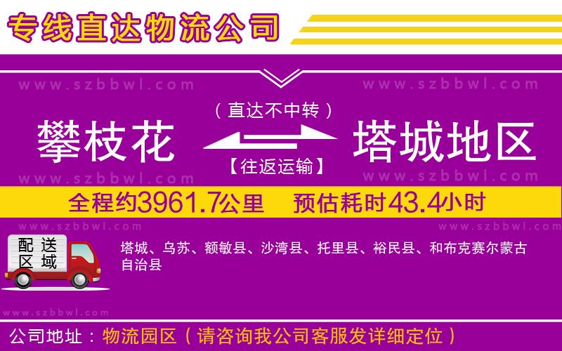 攀枝花到塔城地區(qū)物流公司