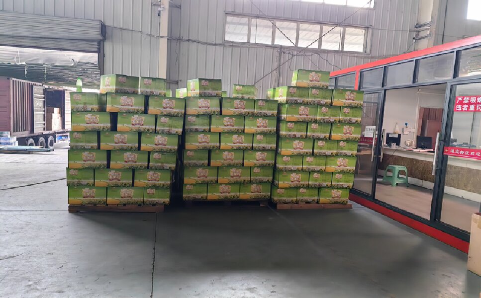 石獅到長汀縣物流公司